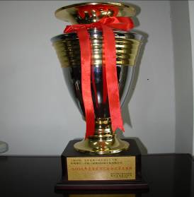 忠縣長江大橋---八渝杯獎杯